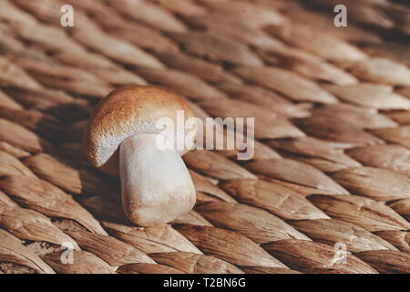 Champignons blanc photographié dans le studio Banque D'Images