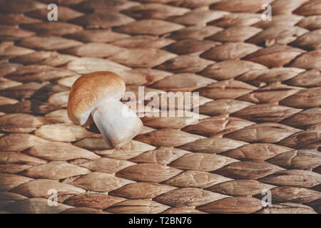 Champignons blanc photographié dans le studio Banque D'Images