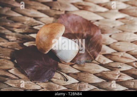 Champignons blanc photographié dans le studio Banque D'Images