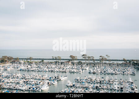 Vue sur les bateaux dans le port depuis la falaise Haut Trail, Dana Point, Orange County, Californie Banque D'Images