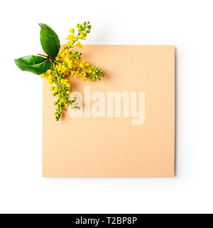 Carte de vœux de pâques avec mahonia fleurs et des notes. Maison de vacances composition isolé sur fond blanc chemin de détourage inclus. Arrangement de printemps Banque D'Images