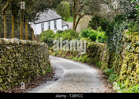 Lane en ordre décroissant en loin Sawrey, près de Hawkshead, Lake District, Cumbria Banque D'Images