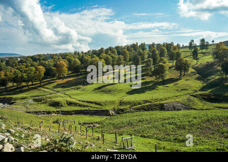 Matin ensoleillé à la campagne. Les couleurs vives de la végétation et le ciel. Paysage de montagne Banque D'Images