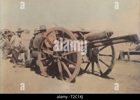 Primera guerra mundial (1914-1918). Artillería australiana en Egipto.