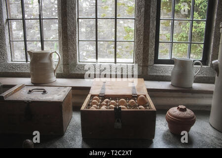 Une superbe composition avec un coffre au trésor en bois avec des oeufs. Still Life la photographie culinaire. Banque D'Images