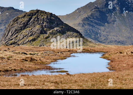 Walker sur le sommet du brochet de Stickle, Langdale Pikes, Lake District, Cumbria Banque D'Images