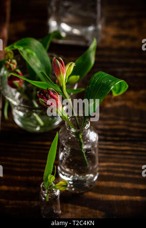 L'alstroemeria rouge fleurs dans des vases en verre sur fond sombre. La fête des mères, carte de souhaits d'anniversaire. Copier l'espace. Banque D'Images