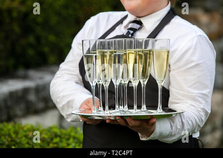 Un waiter holding un bac rempli de boissons pendant un mariage ou un autre événement spécial Banque D'Images