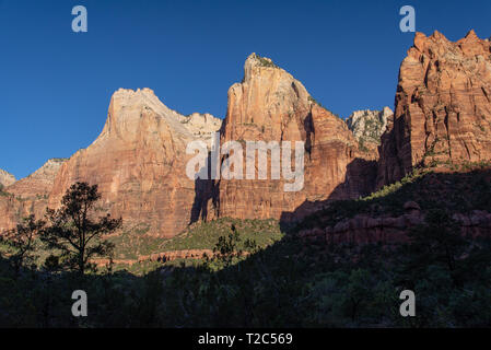 Cour des Patriarches dans le parc national de Zion dans l'Utah Banque D'Images