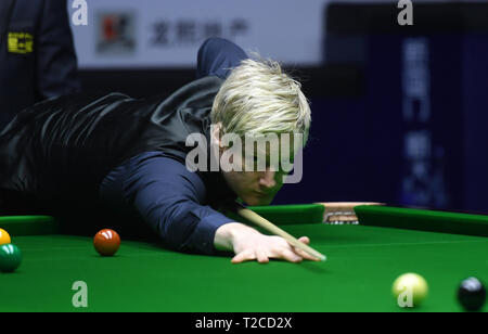 Beijing, Chine. 1er avril 2019. Neil Robertson, de l'Australie est en concurrence au cours du premier match contre Kishan Hirani de l'Angleterre au 2019 World Snooker tournoi Open de Chine à Beijing, capitale de Chine, le 1er avril 2019. Jundong Crédit : Li/Xinhua/Alamy Live News Banque D'Images