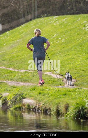 Kidderminster, UK. 1er avril 2019. Météo France : le premier jour du mois d'avril, la folk de Kidderminster sont dehors profiter du beau soleil du printemps. Cette dame n'est pas le jogging le long du canal qui permet de s'assurer que son chien et elle-même rester en forme et en bonne santé. Credit : Lee Hudson/Alamy Live News Banque D'Images