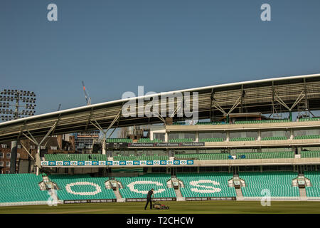 London, UK.1, avril 2019. Membre de l'équipe au sol coupe l'herbe sur la place comme abseilers travailler sur le stand d'OCS. Lors d'une journée ensoleillée à la Kia Oval, Surrey County Cricket Club a tenu sa journée des médias pour la saison 2019. David Rowe/ Alamy Live News. Banque D'Images