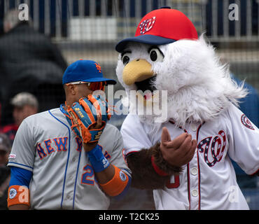 Washington, États-Unis d'Amérique. Mar 31, 2019. New York Mets le deuxième but Robinson Cano (24) commiserates avec les Nationals de Washington mascot Screech avant le match au Championnat National Park à Washington, DC Le dimanche, 31 mars 2018. Credit : Ron Sachs/CNP (restriction : NO New York ou le New Jersey Journaux ou journaux dans un rayon de 75 km de la ville de New York) | Conditions de crédit dans le monde entier : dpa/Alamy Live News Banque D'Images