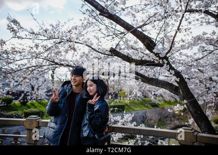 Nagoya, Aichi, Japon. 1er avril 2019. Un couple vu profiter de vues cherry blossom à rivière yamazaki, Nagoya, Aichi Prefecture, Japan.The cherry blossom également connu sous le nom de Sakura au Japon habituellement son sommet en mars ou début avril au printemps. Le Sakura est la fleur nationale du Japon et d'apprécier les cerisiers en fleurs est une vieille coutume japonaise. Credit : Takahiro Yoshida SOPA/Images/ZUMA/Alamy Fil Live News Banque D'Images