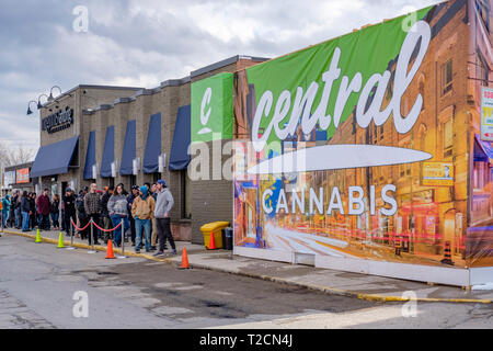 London, Ontario, Canada, 1er avril, 2019. Les clients en face de cannabis, la première centrale de Londres boutique pot d'ouvrir dans la ville. Géré par Corner Le Cannabis, le magasin a ouvert ses portes sur 666 Wonderland Rd. nord, et c'est l'un des trois magasins qui a obtenu la permission d'ouvrir à Londres grâce à une loterie provinciale tenue en janvier. Le 1er avril 2019 marque le premier jour de vente de marijuana juridique en Ontario. London, Ontario, Canada. Credit : Rubens Alarcon/Alamy Live News Banque D'Images