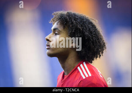 Reading, Berkshire, Royaume-Uni. 01 avr, 2019. Joshua Zirkzee du Bayern Munich II au cours de la Premier League Cup match international entre la lecture d'U23 et le Bayern de Munich II au stade Madejski, lecture, l'Angleterre le 1 avril 2019. Photo par Andy Rowland. Crédit : Andrew Rowland/Alamy Live News Banque D'Images