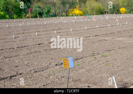 Jardins de l'école la Gerrit Kalff à Amsterdam aux Pays-Bas de l'Est 2019 Banque D'Images