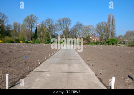 Jardins de l'école la Gerrit Kalff à Amsterdam aux Pays-Bas de l'Est 2019 Banque D'Images