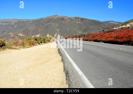1 Route de la côte ouest de la Californie Banque D'Images