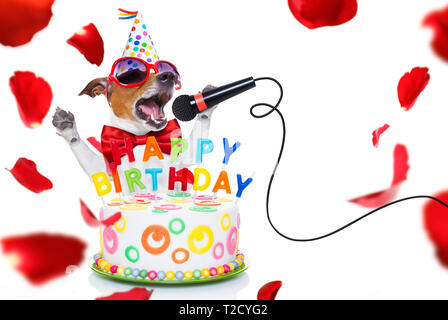 Chien Jack Russell comme une surprise, le chant chanson d'anniversaire comme Karaoké avec micro ,derrière funny cake, portant cravate rouge et party hat , o isolés Banque D'Images