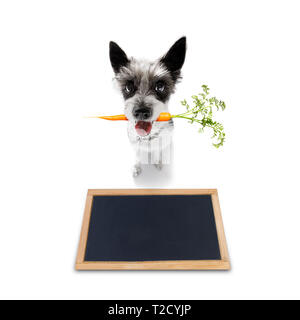 Chien caniche avec des carottes à vegan bouche , isolé sur fond blanc Banque D'Images