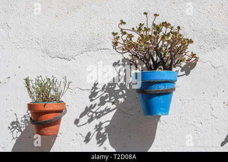 Pot de fleurs décorations sur une rue de Tarragone, Espagne Banque D'Images