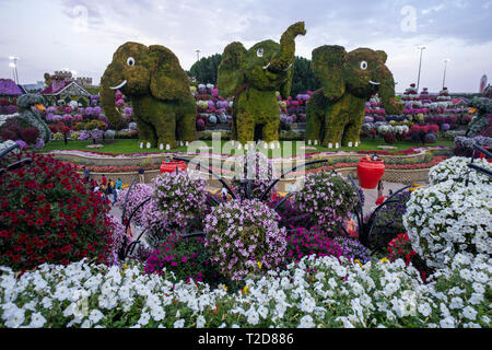 Jardin Miracle, Dubaï, Émirats Arabes Unis Banque D'Images