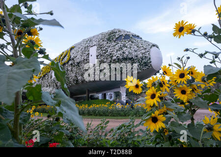 Bordée de fleurs unis avion à l Jardin Miracle, Dubaï, Émirats Arabes Unis Banque D'Images