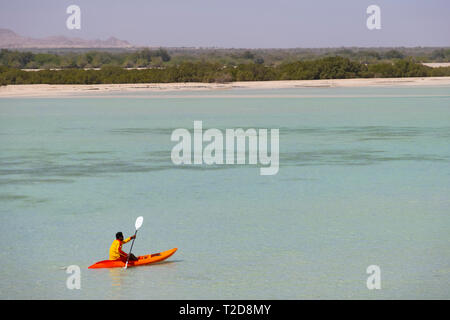 Kayak homme seul à l'île de Sir Bani Yas, Emirats Arabes Unis Banque D'Images