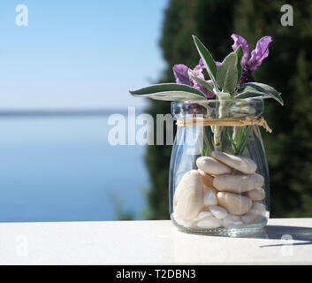 Feuilles de Salvia officinalis plante et fleurs de Lavandula angustifolia dans un petit pot avec mer bleue et nature background Banque D'Images