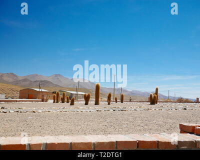 Altiplano andin, près de San Antonio de los Cobres, Argentine Banque D'Images