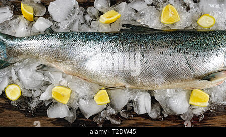 Le saumon sur la glace dans un magasin de poissons Banque D'Images