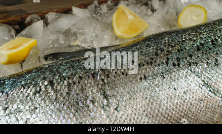 Le saumon sur la glace dans un magasin de poissons Banque D'Images