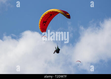 Le Parapente à Samoens, France Banque D'Images