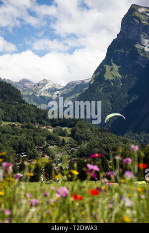 Le Parapente à Samoens, France Banque D'Images