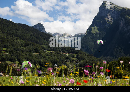 Le Parapente à Samoens, France Banque D'Images