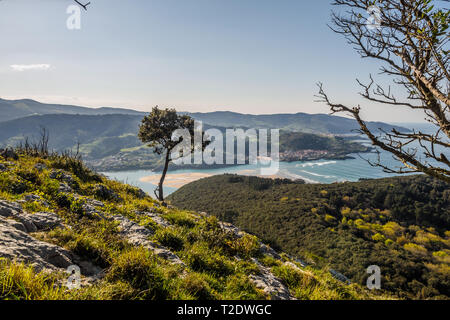 Vues de la réserve de biosphère d'Urdaibai du point de vue de San Pedro Atxarre, journée ensoleillée Banque D'Images