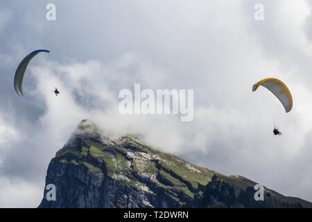 Le Parapente à Samoens, France Banque D'Images