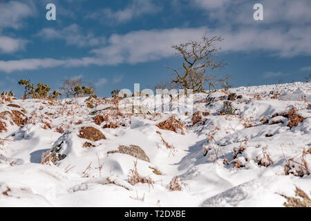 Un hiver enneigé sur Dartmoor, Devon, Royaume-Uni. Banque D'Images