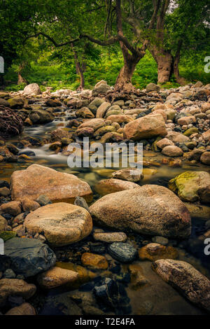 Rivière Fonias sur l'île de Samothrace Grèce en traversant une belle forêt tout en passant par big stones tourné avec une longue exposition Banque D'Images