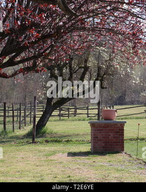 Belle vue partielle du pays près de Gorzegno d'Asti, dans la région de Monferrato, avec les chevaux dans une clôture Banque D'Images