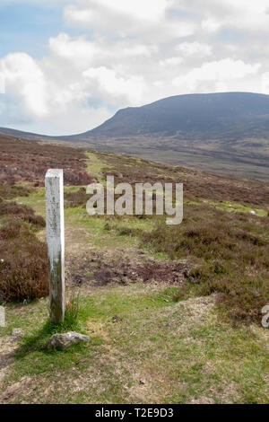 Sentier de randonnée à travers les montagnes et les gorses à la fin du printemps à travers les montagnes Comeragh, Comté de Waterford, Munster, Irlande. Banque D'Images