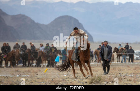 Bayan Ulgii, Mongolie, 3 octobre 2015 : nomade mongol homme sur un cheval Banque D'Images