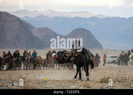 Bayan Ulgii, Mongolie, 3 octobre 2015 : nomade mongol homme sur un cheval Banque D'Images