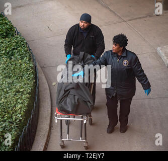 Les travailleurs de la NYC Bureau du médecin légiste en chef enlever une personne décédée d'un immeuble à New York le Mercredi, Mars 20, 2019. (Â© Richard B. Levine) Banque D'Images