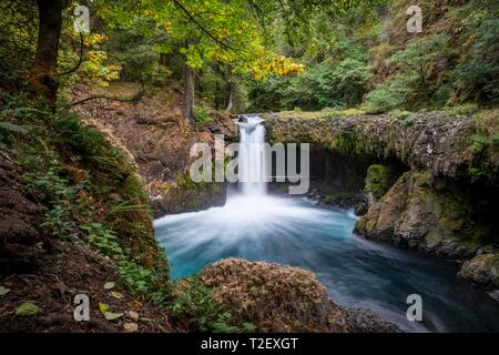 Spirit of Falls, une cascade coule sur éperon rocheux, basalte, temps d'exposition, Washington, États-Unis Banque D'Images