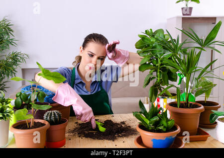 Jeune femme avec des plantes à l'intérieur jardinier Banque D'Images