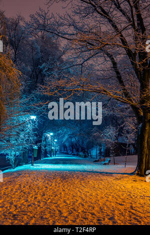 Belle scène d'hiver d'une allée dans le parc couvert de neige avec les ampoules et les bancs et d'arbres couverts de neige Banque D'Images