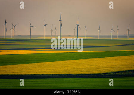 Éoliennes éoliennes utilisées pour produire de l'électricité verte écologique tourné en un produit avec le blé et le canola de couleur au printemps en Roumanie Banque D'Images