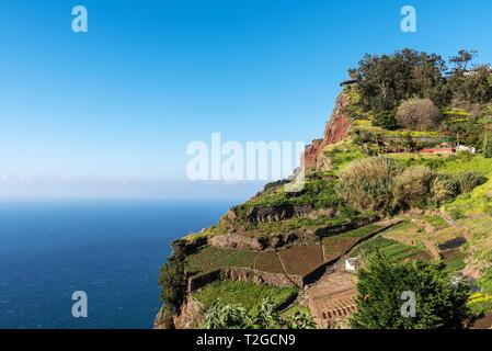 Plate-forme d'observation à la côte escarpée, Cabo Girao, côte sud, Madeira, Portugal Banque D'Images